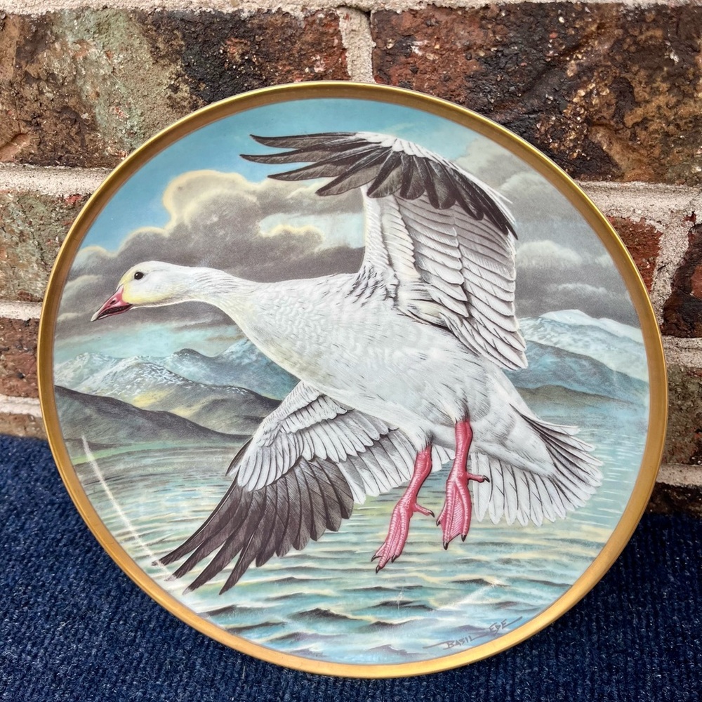 Water Birds Of The World Snow Goose Collector Plate 9” Franklin Porcelain 1981